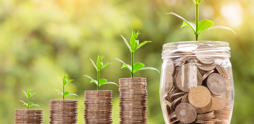 coins with plants on top